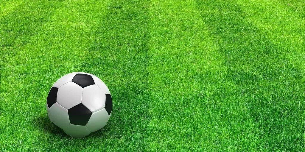 关注足彩竞猜比分500